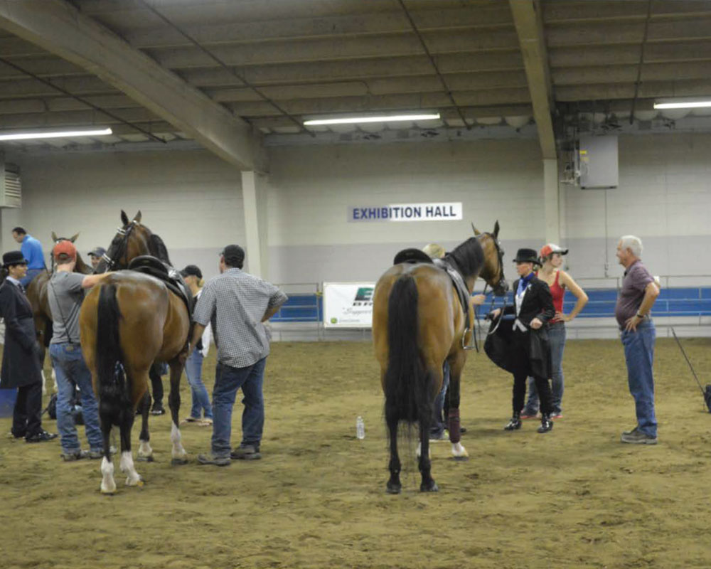 Exhibition Hall - Keystone Centre