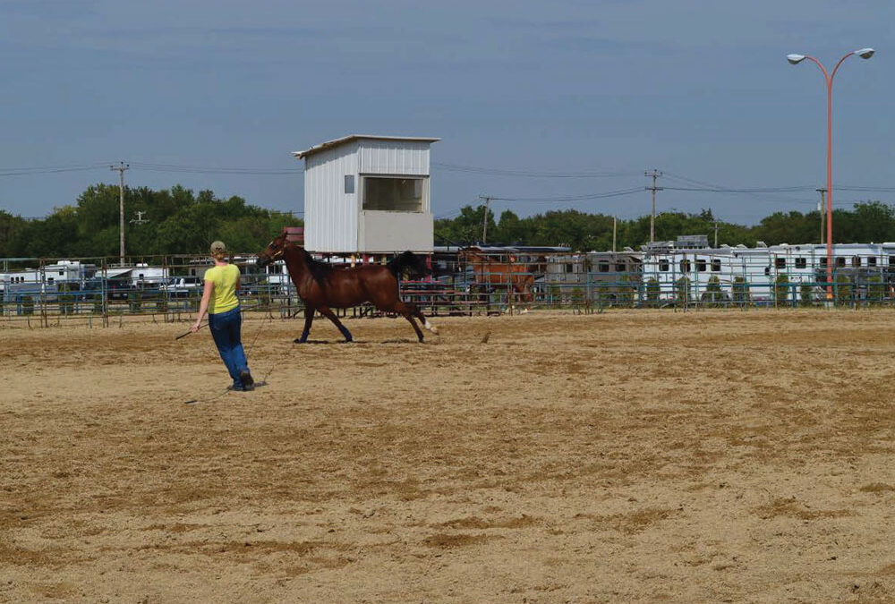 Outdoor Show Ring