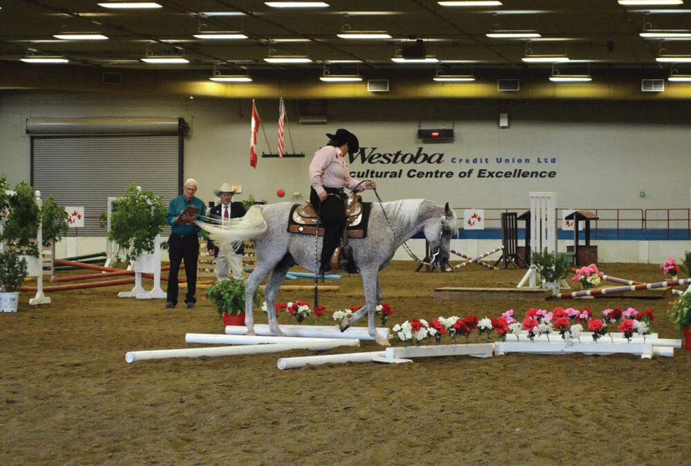 Assiniboine Credit Union Show Ring