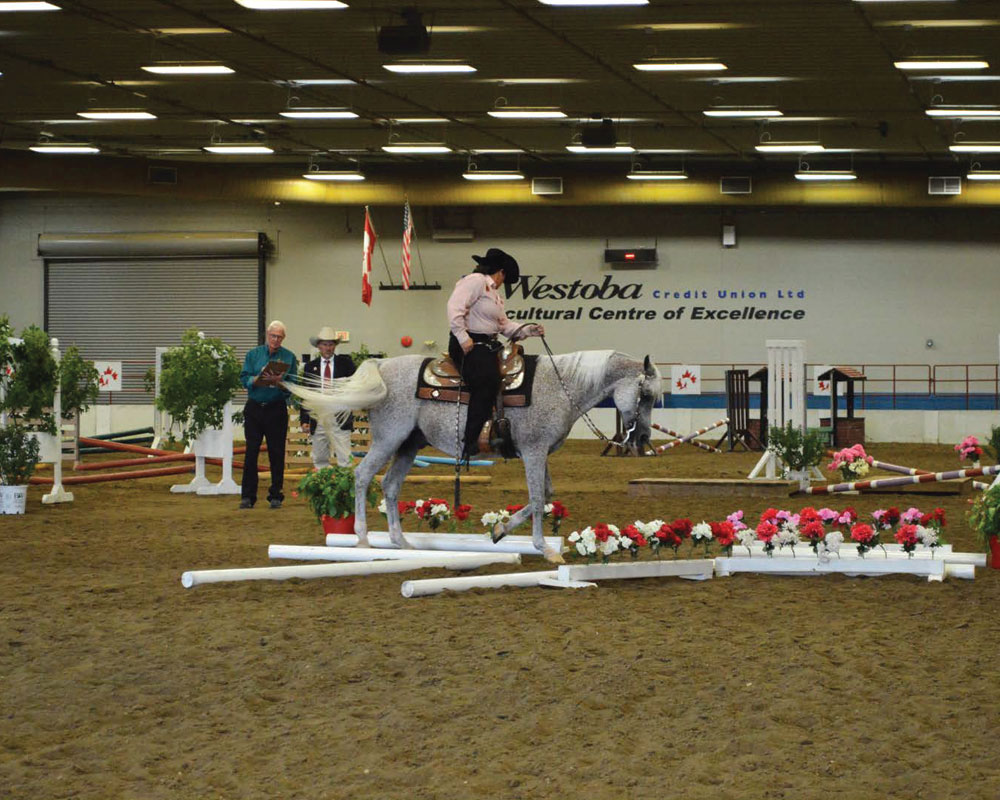 Westoba Show Ring - Keystone Centre