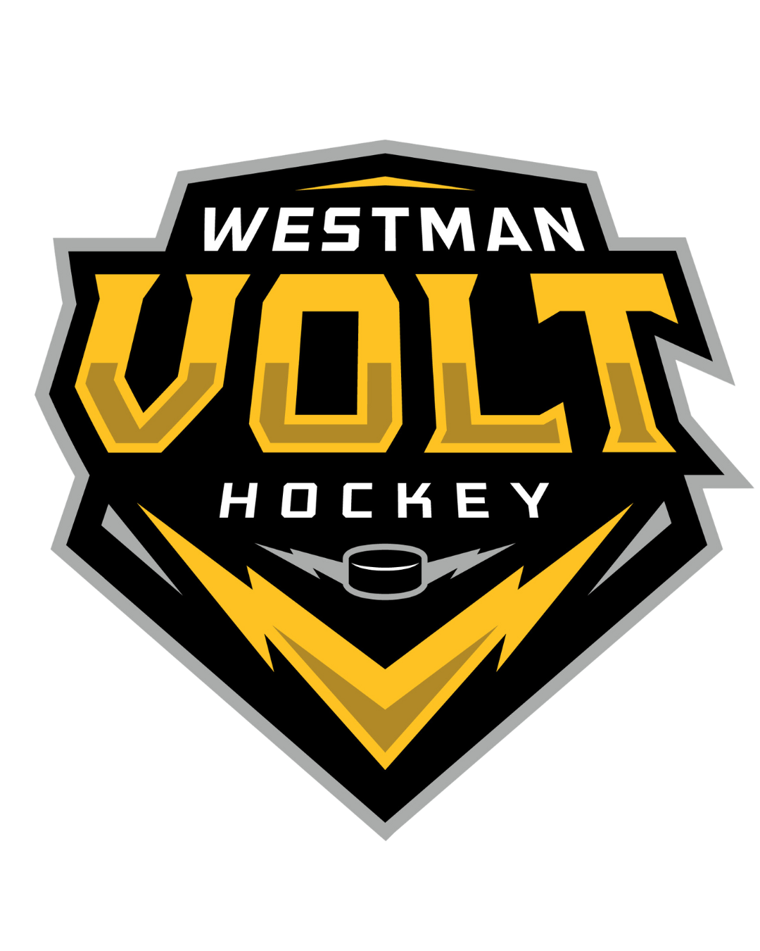 VOLT Hockey